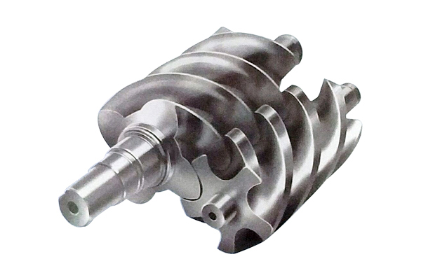 Pump twin screw